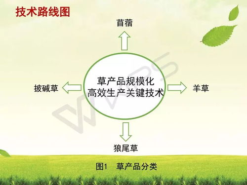 农业科技体系概述