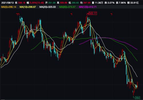 新加科技股票分析与投资建议