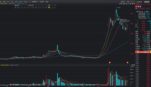 大豪科技涨停记录