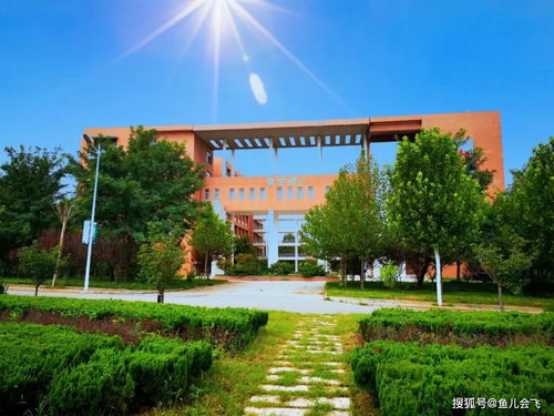 山东科技大学