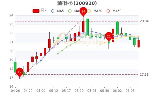 300920润阳科技股票