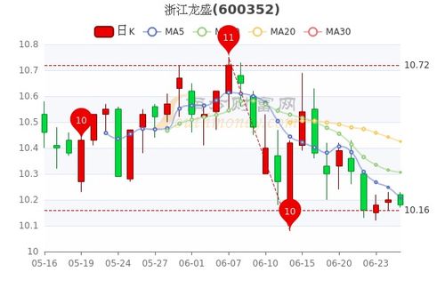 双环科技股份怎么样