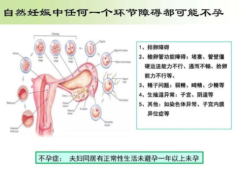 平阳女子查出癌症 术后第2天,就下床了