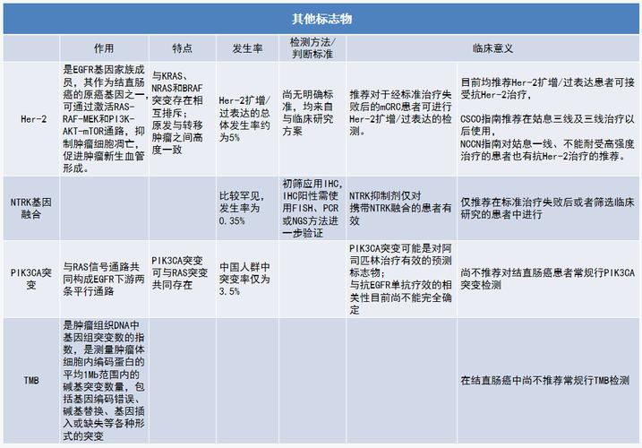 直肠癌基因检测多少钱?