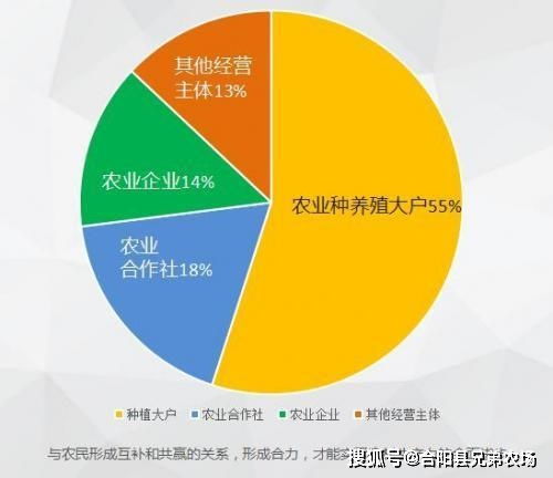 数字化工具在金融领域的应用提升效率与应对数据挑战