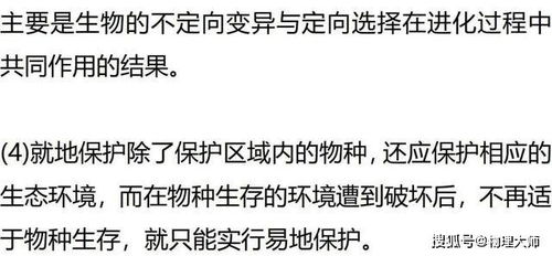 斯坦福学生团队抄袭风波致歉、撤回与失联的代码作者