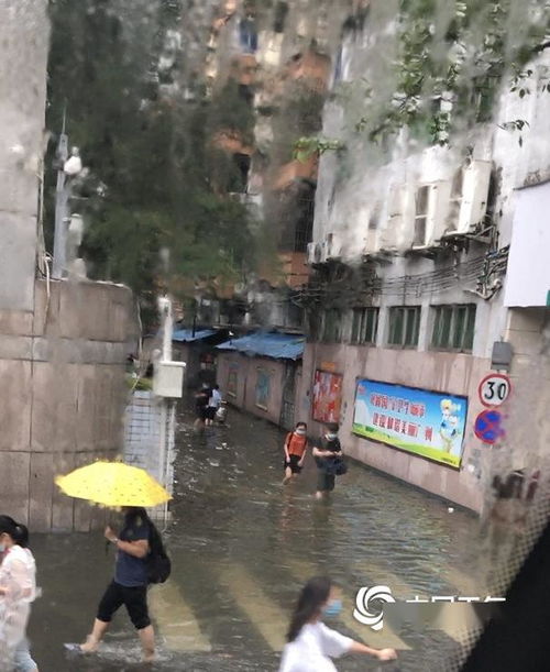 实拍广州暴雨水浸街，城市暴雨下的挑战与应对