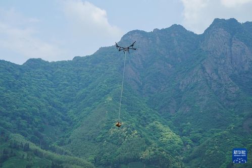 女子慷慨解囊，黄山遇见的挑山工，每人获赠百元