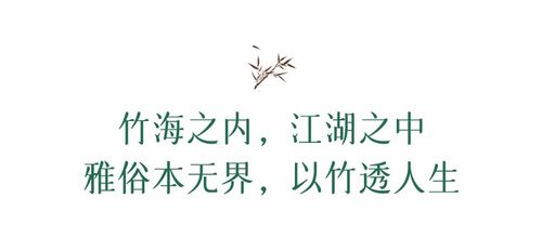 纷纷万事，直道而行——在纷扰中寻找内心的宁静与坚持