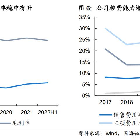 财务软件的选择与摊销年限，企业财务管理中的重要考量