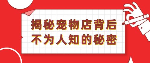 财务费用为负，揭秘企业背后不为人知的秘密