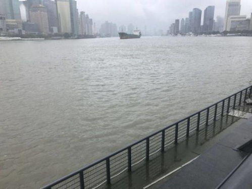 记者直面黄浦江松江段遭遇的十四级强风