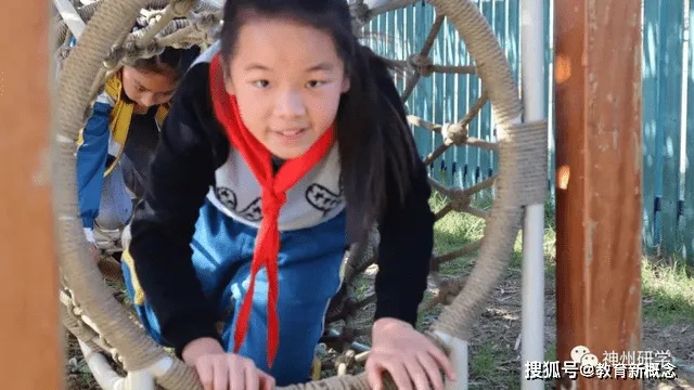 探秘自然，童心未泯——一位小学生的奇妙旅行日记