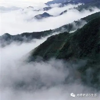 专家解读为何哀牢山是禁区