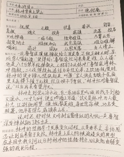 英雄与命运的交织——水浒传第三回读感