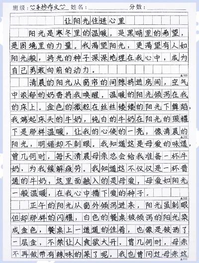 阳光洒满心灵，一篇温暖人心的阳光作文