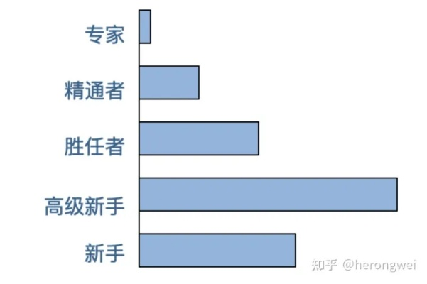 从新手到精英的提升之路