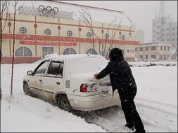 雪大封道，外省司机遭遇困境，黑龙江人的暖心投喂