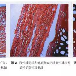 走进中南大学学报，学术研究与创新的重要平台