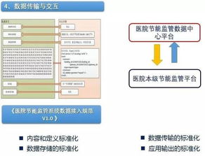 河南省会计信息管理系统的功能、应用与未来展望