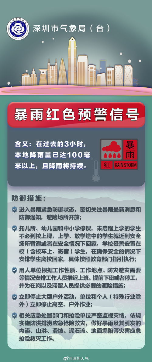 走进成都市会计网，全面了解与实用指南