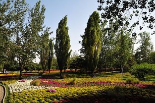 北京香山植物园——城市中的绿色宝藏