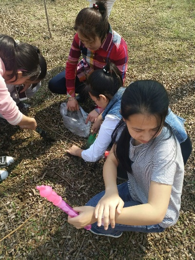 走进大自然的怀抱——探索自然之美与和谐共生