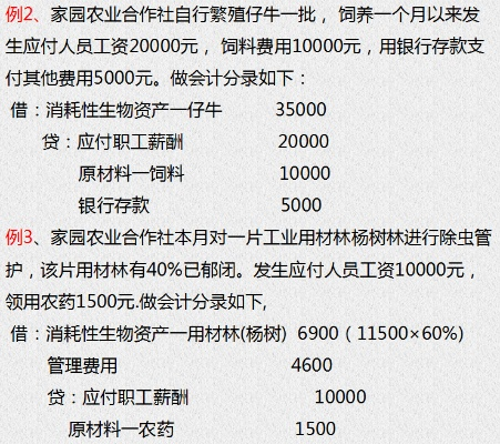 农业生产的账本，如何精打细算每一分钱？