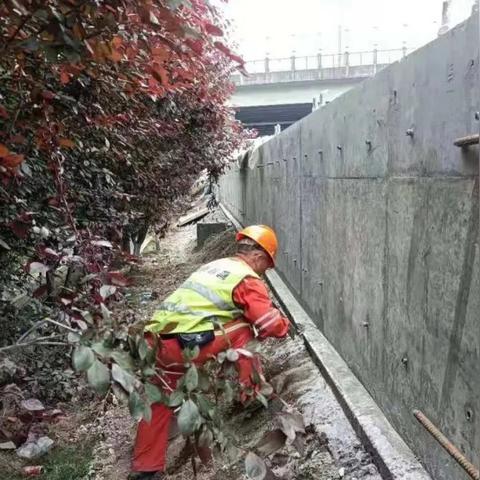 解读申嘉湖高速公路地图，畅享便捷出行新体验