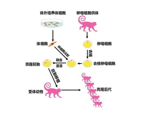 化学分析计量，生活中的精确科学