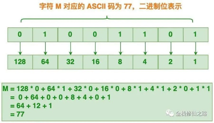 揭开二进制的神秘面纱，从基础到应用的全面解析